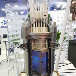 Imagem da galeria de imagem da página de Defesa. A imagem mostra de forma ilustrativa um reator nuclear cortado verticalmente.